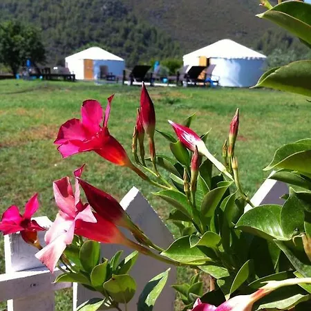 Cort de lux Avalon Steppes Glamping Holidays